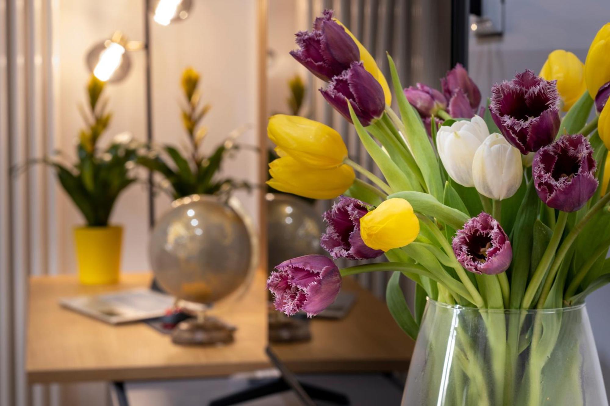 Ducrot Apartment باليرمو المظهر الخارجي الصورة